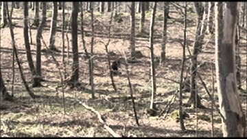 ODYSSEY - PYRAMIDS (OFFICIAL VIDEO)