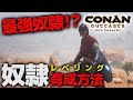 最強奴隷の育て方!!重要なのは◯◯!?奴隷の育成方法!!(レベリング)&雪猟師ダリンシア育成!!【PS4 コナンアウトキャスト / コナンエグザイル / conan exiles】