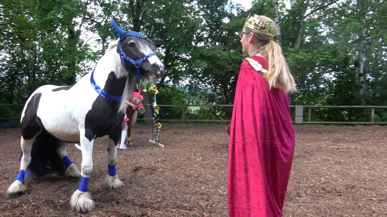 Clickertraining/Freilichttheater 2019 "Die kleine Hexe und ihre Tiere"  2.Teil