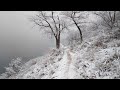 Тольятти. Волга зимой. Набережная. Релакс видео. Зимний лес.