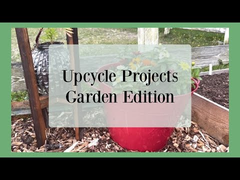 Video: What Is Garden Upcycling - Upcycled Trädgårdsprojekt från skräp och mer