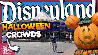 Disneyland is SHOCKINGLY EMPTY at Halloweentime | September 2025 Crowd Update
