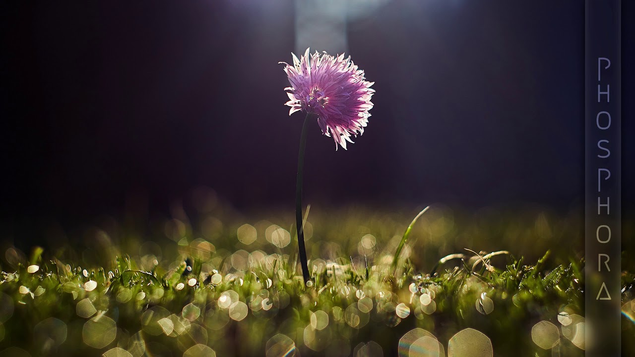 CryMeAn - Spring Charm