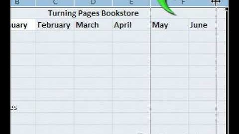 Formatting Your Spreadsheet in Excel® 2007