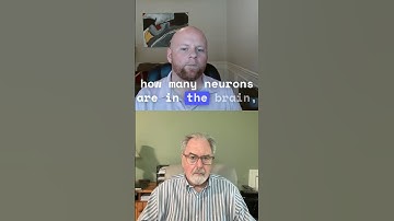 Neurons: Your Brain’s Electric Superhighway ⚡🧠 #neuroscience #brainwise #growth #empowerment