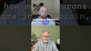 Neurons Your Brains Electric Superhighway