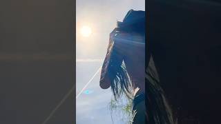 What a moment I’ll never forget 🌕🌓🌑 #Shorts #Eclipse #AlexGervacio