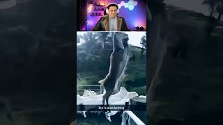 Try Not To Laugh Compilation Part 30