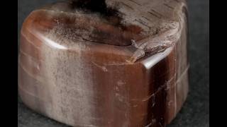 珪化木 タンブル 35.7g / Petrified wood - YouTube