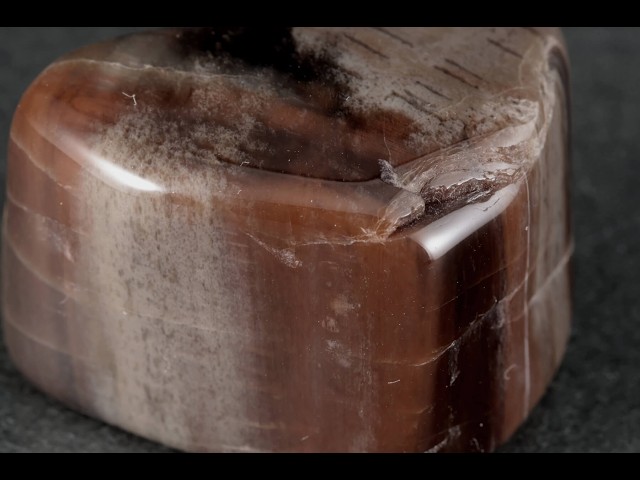 珪化木 タンブル 35.7g / Petrified wood - YouTube
