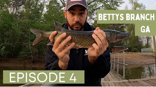 BIG BASS and fishing BETTYS BRANCH! screenshot 5