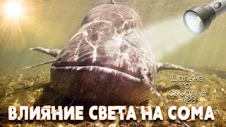 Реакция сома на свет. Где ловить. Дальке о рыбалке нр. 23 by Vitali Dalke - рыбалка на сома 33,387 views 1 year ago 13 minutes, 40 seconds