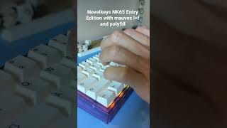 Novelkeys NK65 Entry Edition with Mauve Linears Lubed and Filmed plus poly fill