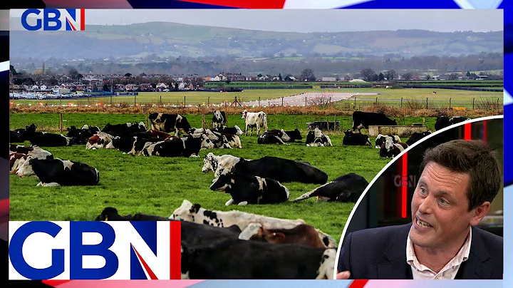 Could cow poo solve the UK's energy woes? | James Pirie outlines huge 'potential'