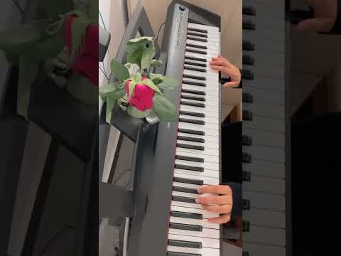 راغب علامة آسف حبيبتي بيانو