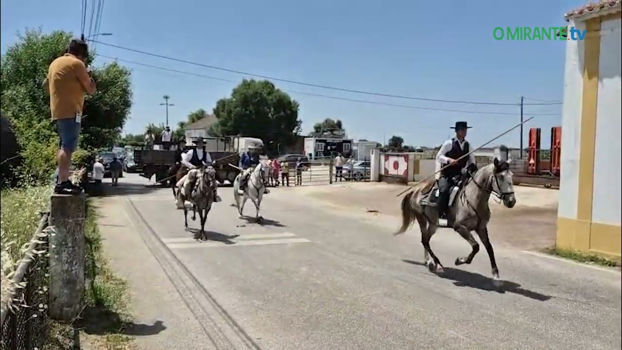 Entrada de Toiros em Quinta Feira de Ascensão na Chamusca