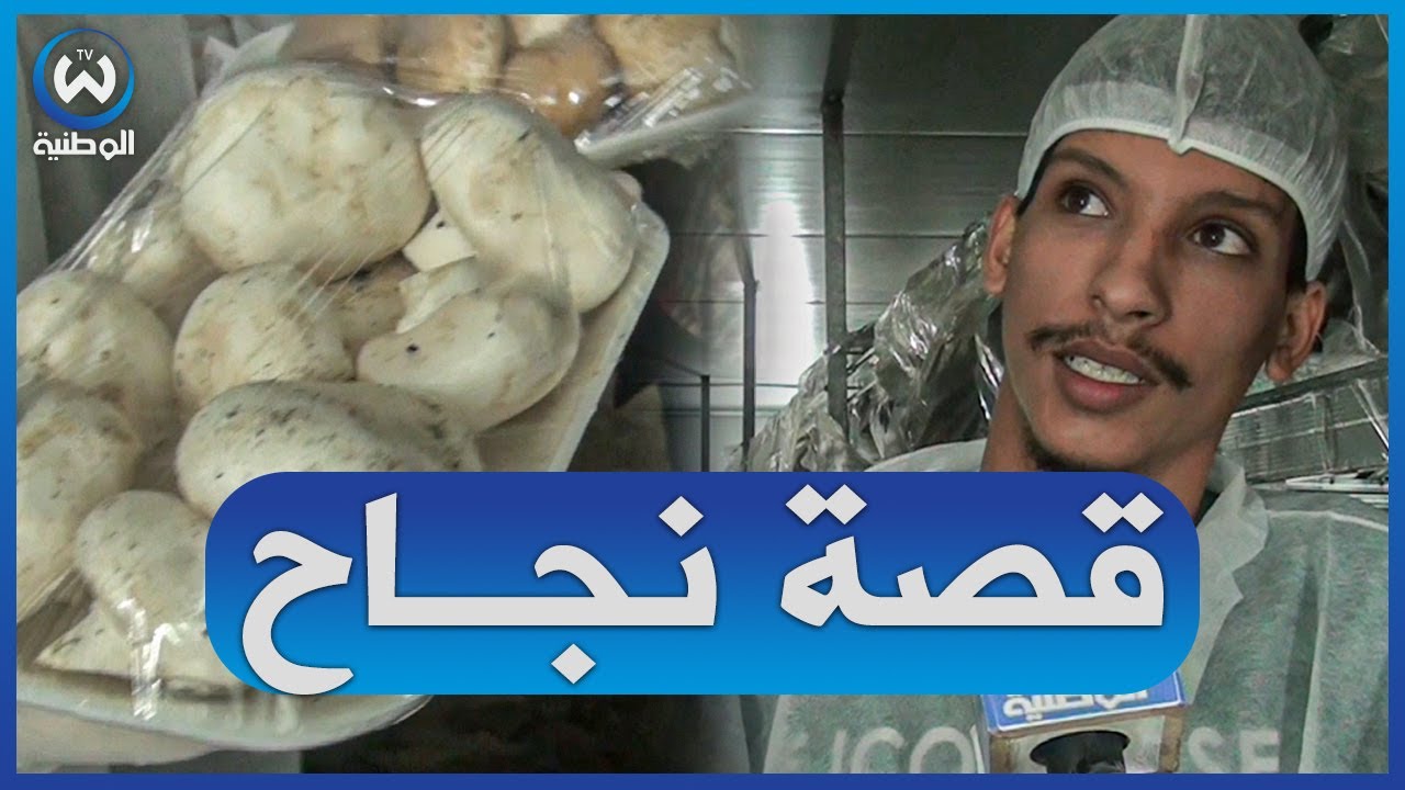 من حلم إلى حقيقة .. قصة شاب طموح صاحب أول تجربة في زراعة الفطر الباريسي على مستوى ولاية باتنة