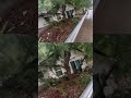 Texas House Crashes Into Bridge
