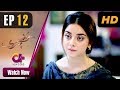 Watch Hoor Pari - Episode 12 | Aplus Dramas | Alizeh Shah, Ammara Butt, Usman Butt | Pakistani Drama Online In HD