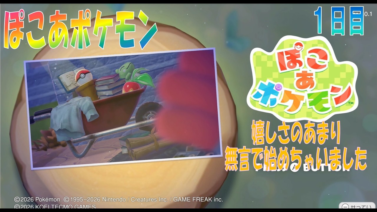 【ぽこあポケモン】１日目「嬉しさのあまりか無言でキャラクリを始める男」【ぽこポケ】