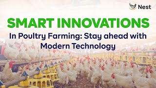 Innovations in Poultry Farming: Stay Ahead with Modern Technology