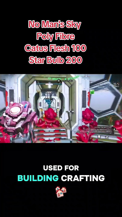 no man's sky on how to craft poly fibre with 100 Catus Flesh and 200 star bulbs #gaming #no