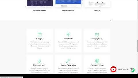 Bluerack - Modern Hosting WordPress Theme with WHMCS new illustration Website Builder