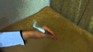 aoneko for spinfest JEB.wmv