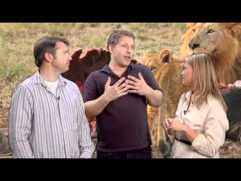 Learning From the Wild with Martin and Chris Kratt