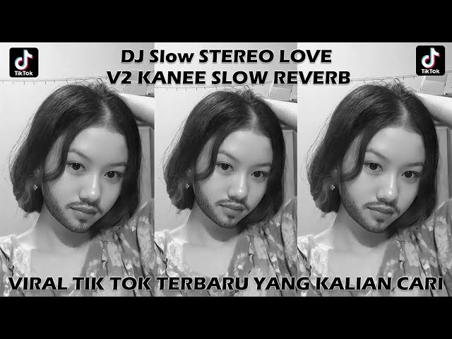 DJ SLOW STEREO LOVE V2 KANEE Slowed u0026 Reverb VIRAL TIKTOK 2023🎵 class=