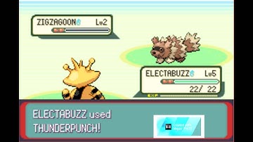 Pokemon Emerald Randomizer Episode 1: The Beginning