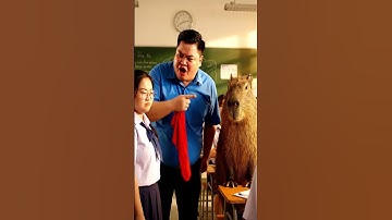 Linh đổ bột ớt vào khăn của Capy và cái kết #capybara #vuive #giaitri #cuocsongcuacapy