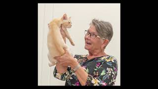 Episode 5: The Best of 2019 SA Cat Shows by CatMumma Melissa Neumann 124 views 4 years ago 9 minutes, 10 seconds