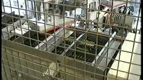 Auto-feed conveyor + Flow-wrapper mod.SERVOFLEX pbb + Cartoner by imanpack