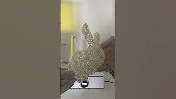 Voronoi pattern rabbit printing process
