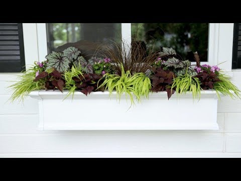 วีดีโอ: ไอเดียสำหรับ Urban Window Box Gardens - วิธีทำ Window Boxes สำหรับฤดูหนาว