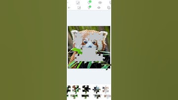 Cute Animal 😍 Jigsaw Puzzle #shorts