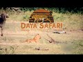 A Sri Lankan Leopard Hunts a Crocodile | Yala National Park, Sri Lanka