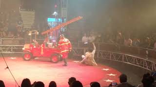 CIRCUS VARGAS WHERE IS THE FIRE CAT IN TREE ACT