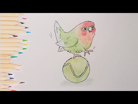 how to draw a parrot | как нарисовать попугая