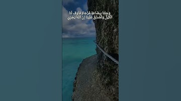 تلاوة من سورة يوسف مؤثرة للشيخ ماهر المعيقلي 😭
