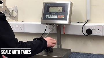 Baykon BCW Negative Weighing - Northern Balance