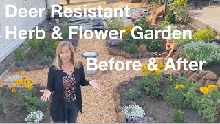 Deer Resistant Herb &amp; Flower Garden Before &amp; After  |  AnOregonCottage.com