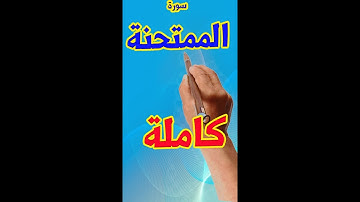 سورة الممتحنة كاملة مكررة | كيف تحفظ القرآن الكريم
