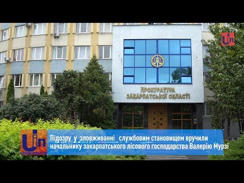 Підозру у зловживанні службовим становищем вручили начальнику закарпатського лісового господарства