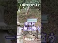 ※強運の気が満ちる場所※見た人の運気循環が加速すると話題|仕事・家庭・人間関係に光を呼ぶ遠隔参拝#パワースポット #強運 #運気上昇 #神社 #スピリチュアル #金運 #仕事運 #良縁 #開運スポット