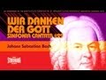 Miniature de la vidéo de la chanson Sinfonia To Cantata No. 29, Bwv 29