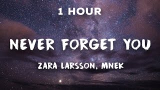 [1 Hour] Never Forget You - Zara Larsson, MNEK 🎧 1 Hour Loop