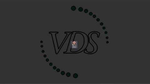 Electronic Document Review VDS