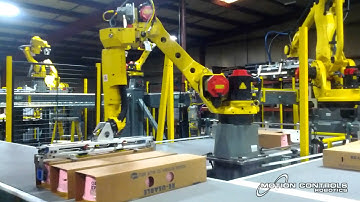Robotic Palletizing and Layer Building - Fully Automated System